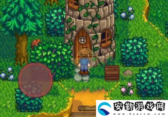 星露谷物語會(huì)見法師任務(wù)怎么做