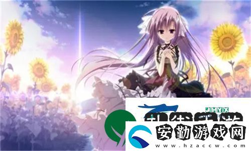成品視頻crm999的全面解析與應用
