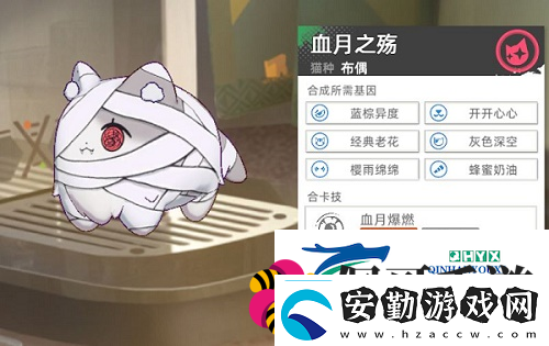 貓之城主題貓?jiān)趺传@得