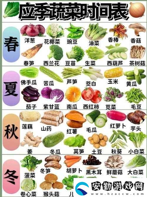 燃燒的蔬菜3星滿級花椰菜攻擊力分析