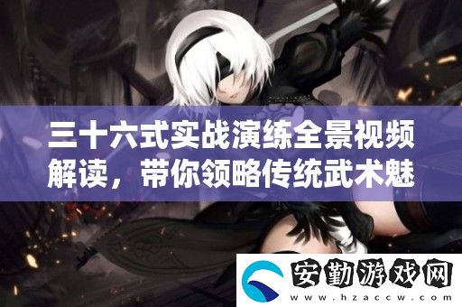 三十六式實戰(zhàn)演練全景視頻解讀