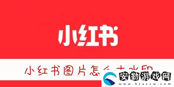 小紅書圖片無水印保存方法