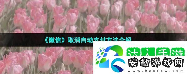 微信自動(dòng)支付在哪取消