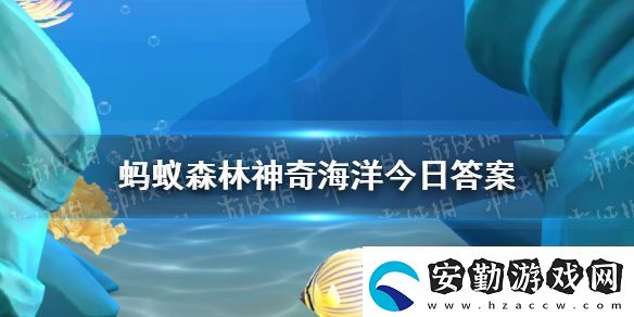 以下哪種海洋生態(tài)被譽(yù)為海底大花園