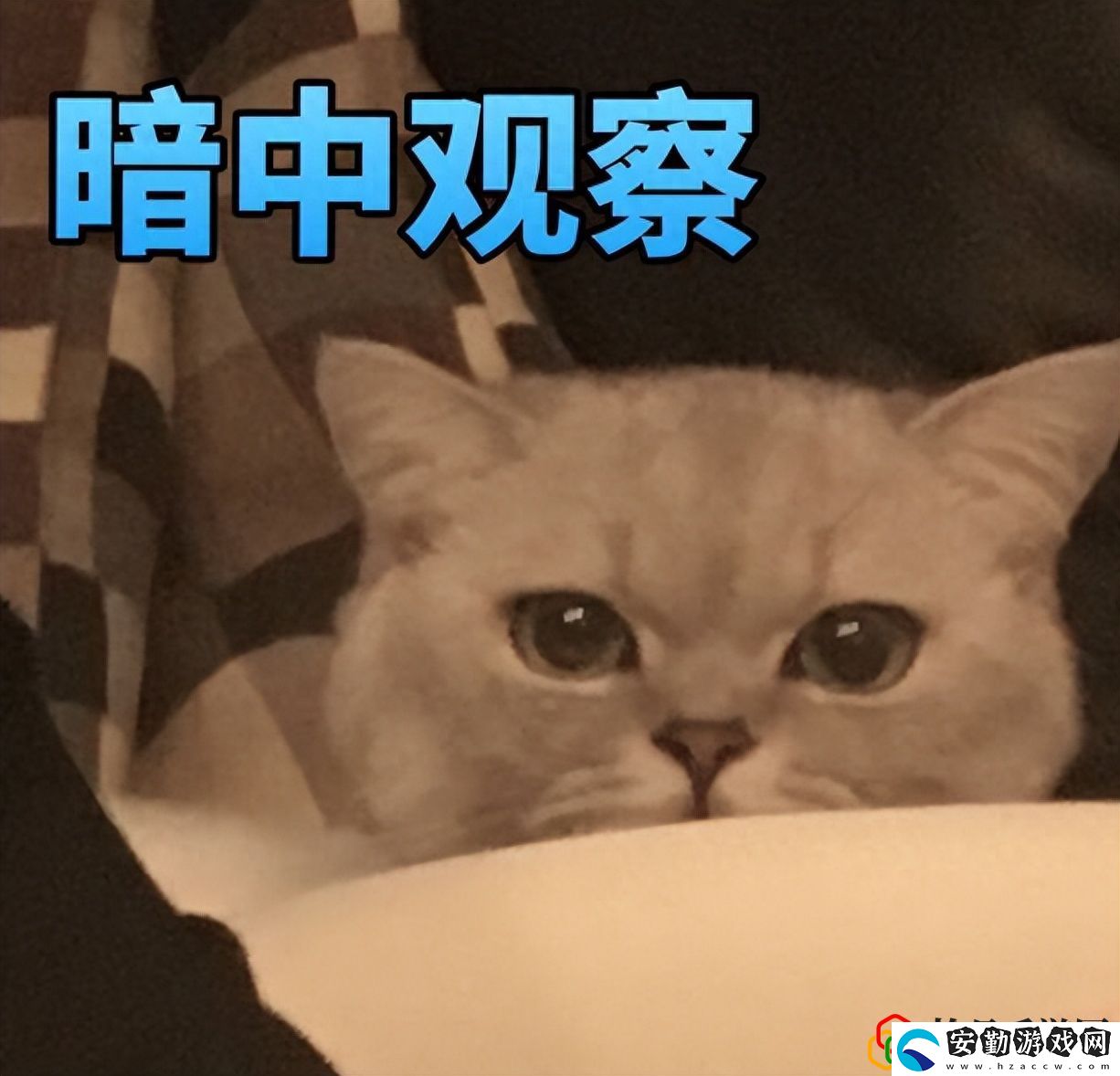 反恐精英經(jīng)典武器大盤(pán)點(diǎn)