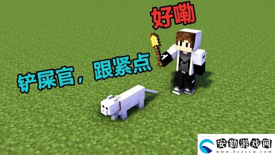 如何在我的世界中成功馴服貓咪