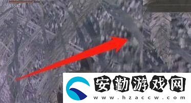 艾爾登法環(huán)法洛斯要塞巨龍支線攻略