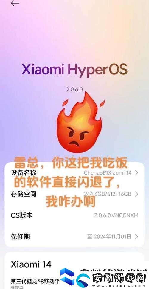 小雞歸巢閃退解決方法