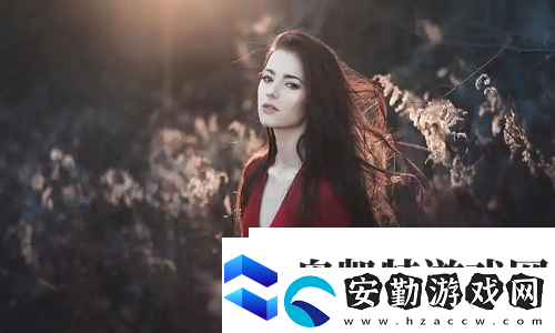 歐美VPS與Windows性能比較1