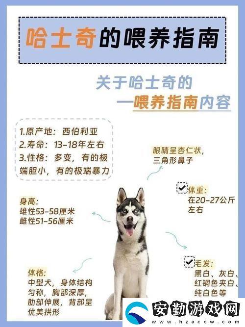 人狗膠配方大全高清4