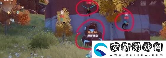 幻塔藤壺分布位置介紹