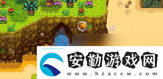 星露谷物語快速獲取金核桃的方法