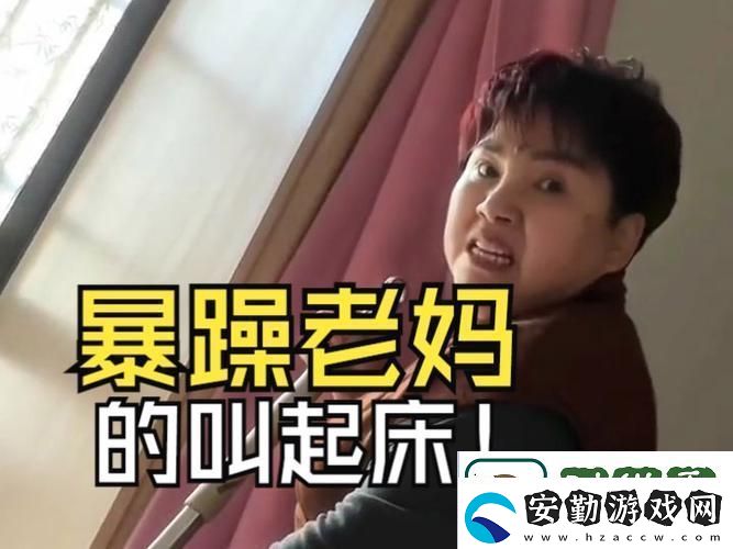 暴躁老阿姨老***成就與榮譽