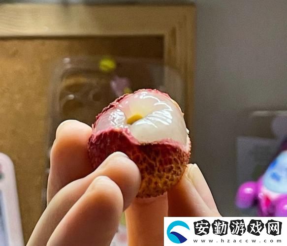 記憶與美好的滋味