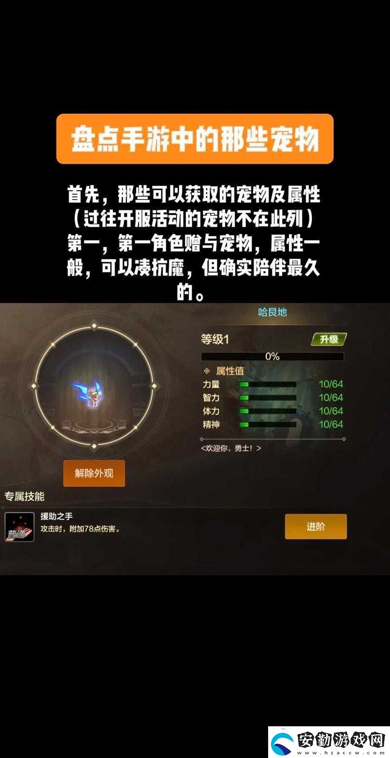 地下城割草寵物如何召喚與解鎖