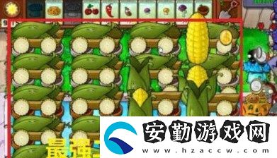 植物大戰(zhàn)僵尸無(wú)盡模式最佳陣容怎么搭配