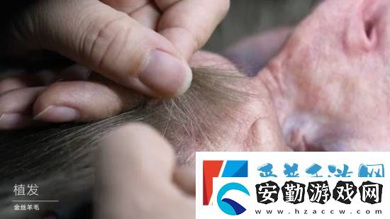 黑神話半身像幕后大揭秘！33800元細(xì)節(jié)很爆炸