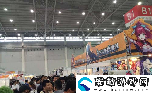 第十屆武漢艾妮動漫游戲展元旦開幕