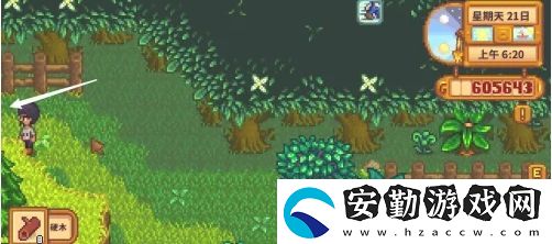 星露谷物語(yǔ)蕨菜怎么獲取