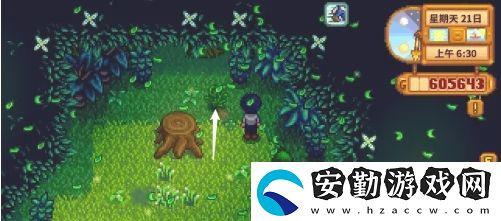 星露谷物語(yǔ)蕨菜怎么獲取