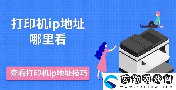 打印機ip地址哪里看