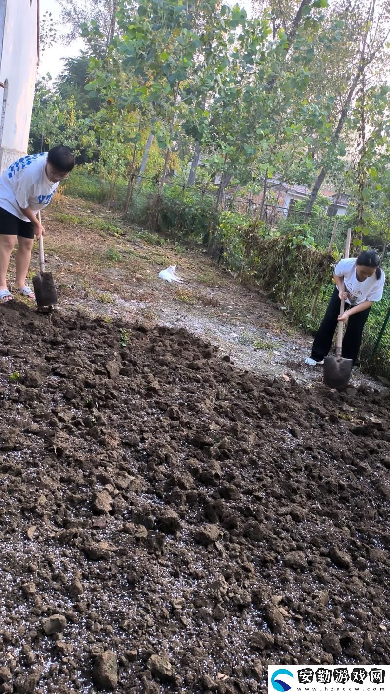 內容深刻兒子在母親的土地上辛勤耕耘
