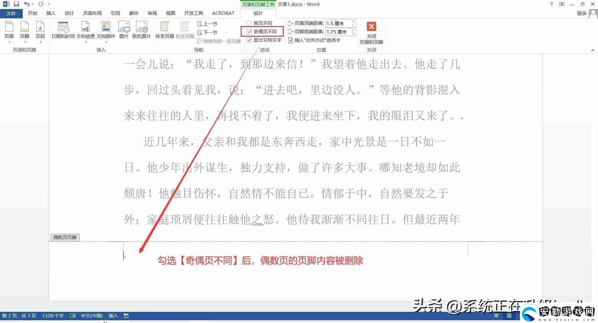 Word頁碼設置教程靈活掌握各種頁碼樣式