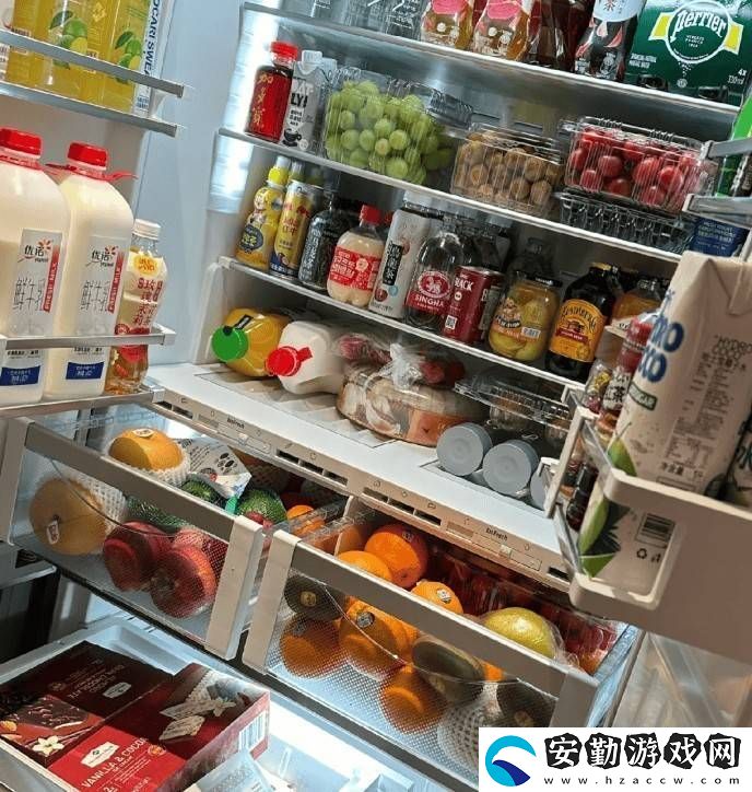 2025年高端冰箱怎么選
