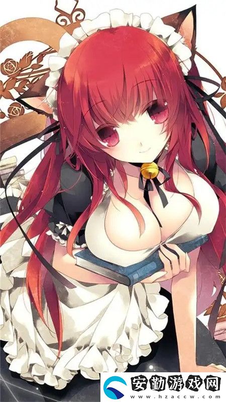償還債務(wù)的麥子3HD