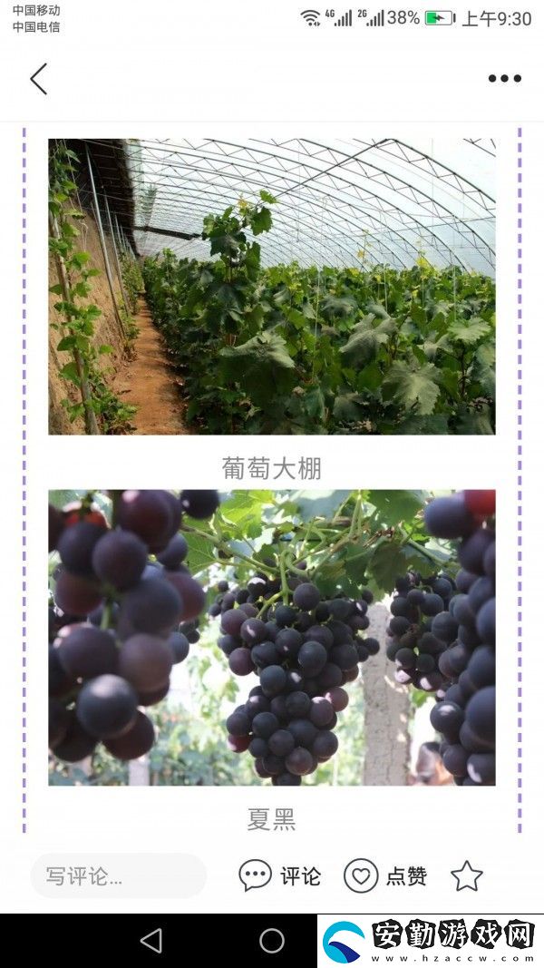 冀云懷來app下載安裝